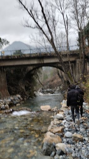 Yorum fotoğrafı 6