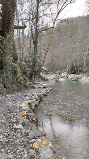Yorum fotoğrafı 7