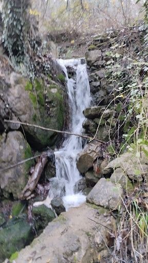 Yorum fotoğrafı 9