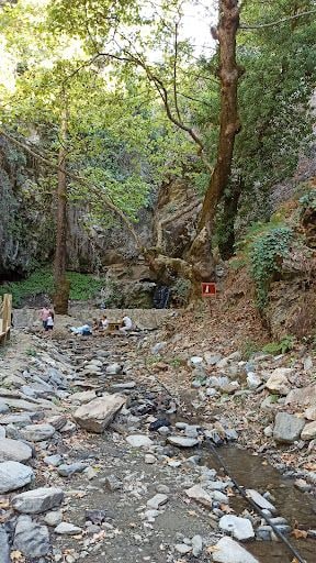 Fotoğraf 30