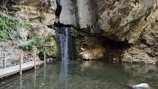 Fotoğraf 31