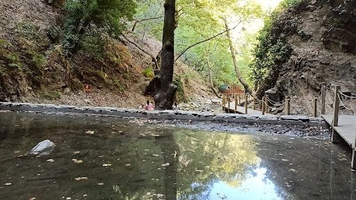 Fotoğraf 33