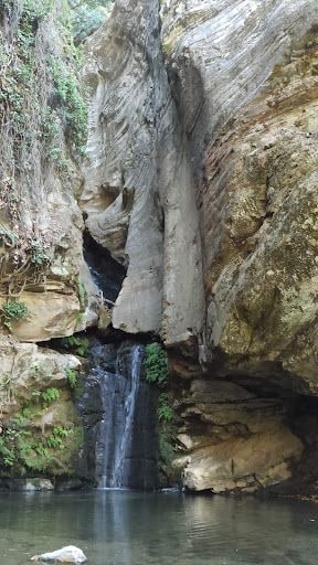 Fotoğraf 35