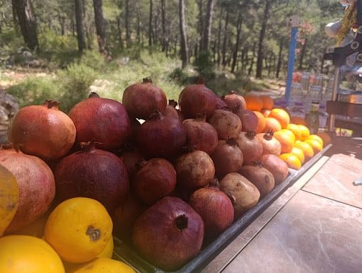 Fotoğraf 34