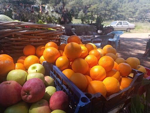 Fotoğraf 37