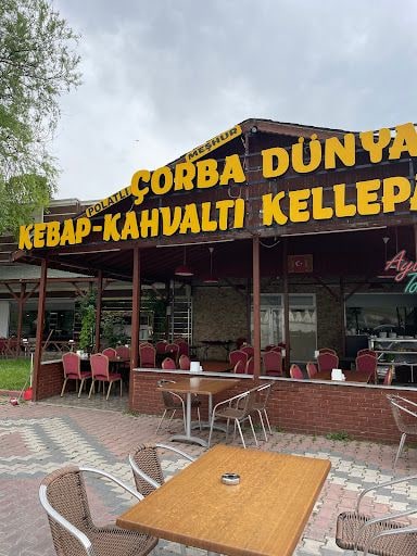 Yorum fotoğrafı 1