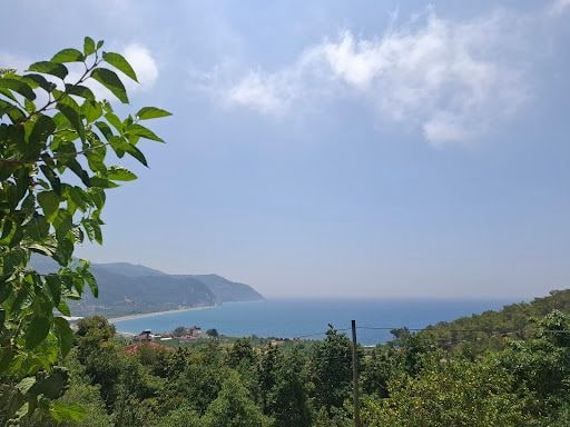 Yorum fotoğrafı 4