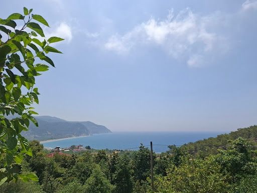 Yorum fotoğrafı 5