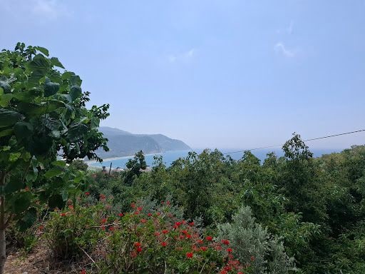Yorum fotoğrafı 6