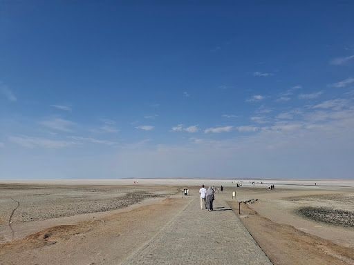 Yorum fotoğrafı 8