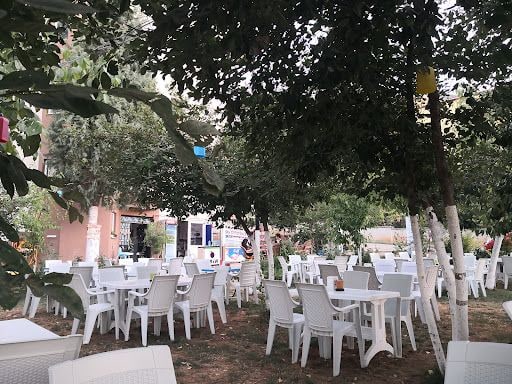 Fotoğraf 12