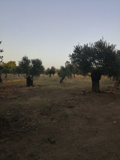 Fotoğraf 12