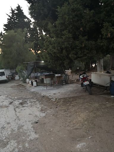 Fotoğraf 13