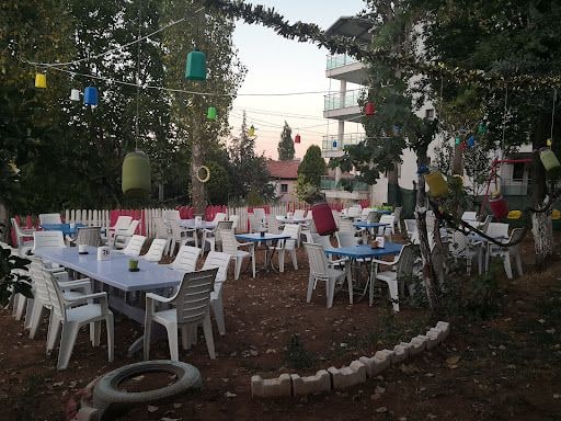 Fotoğraf 13