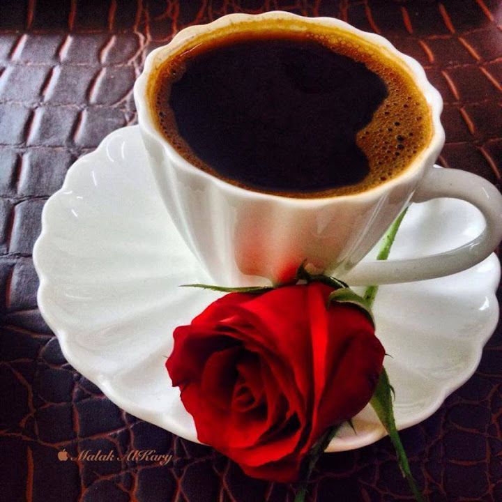 Fotoğraf 21