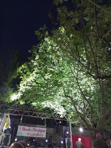 Yorum fotoğrafı 3