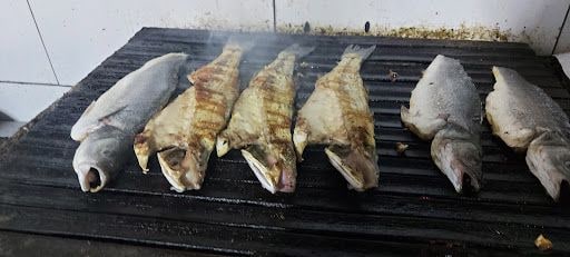 Fotoğraf 22