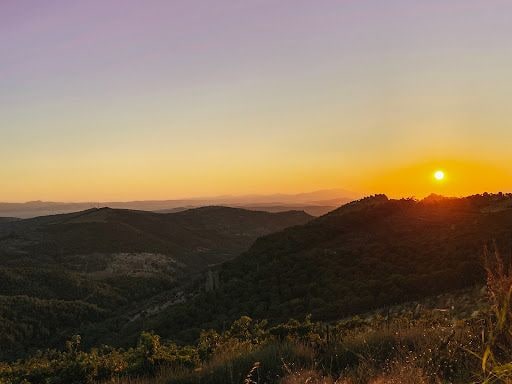 Yorum fotoğrafı 9