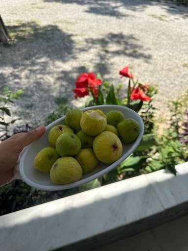 Yorum fotoğrafı 4