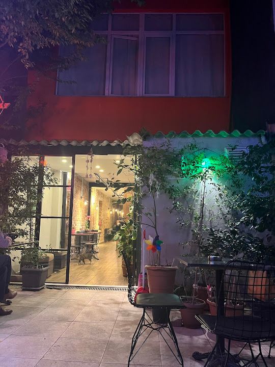 Yorum fotoğrafı 2