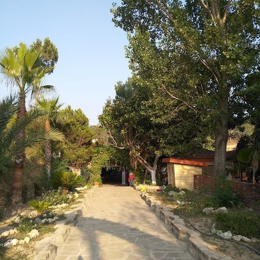 Yorum fotoğrafı 4