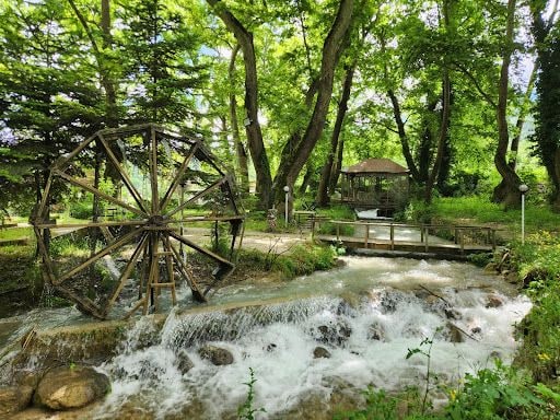 Yorum fotoğrafı 6