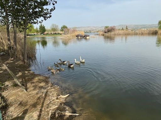 Yorum fotoğrafı 5
