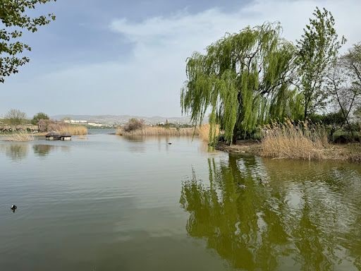 Yorum fotoğrafı 8