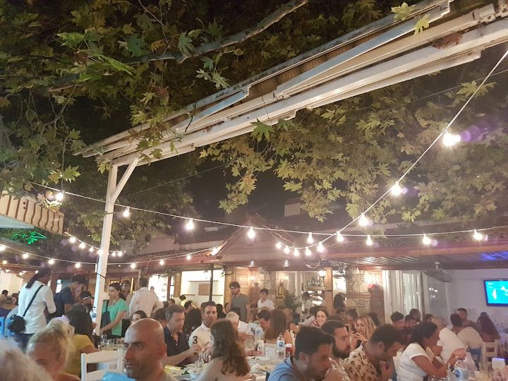 Fotoğraf 19
