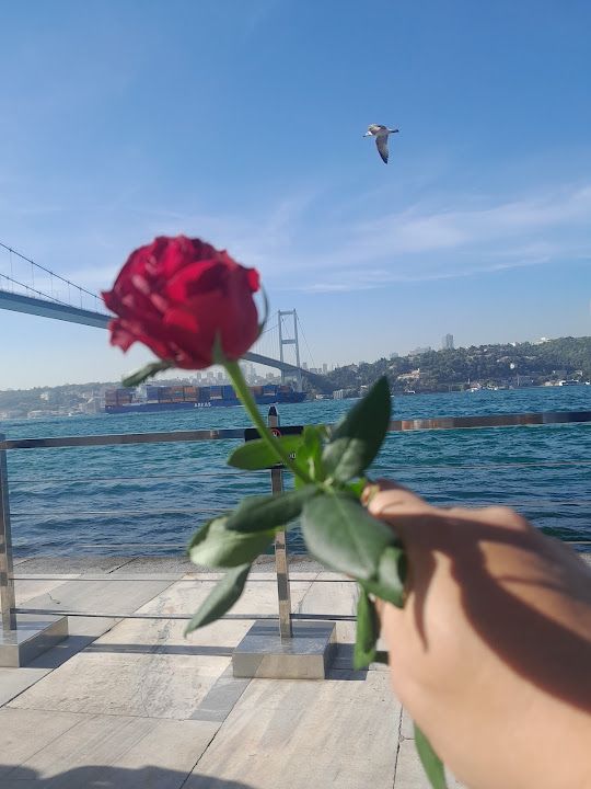Yorum fotoğrafı 2