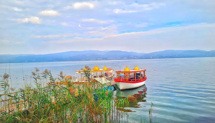 Fotoğraf 49