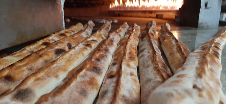 Fotoğraf 15