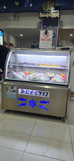 Fotoğraf 13