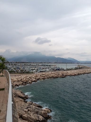 Yorum fotoğrafı 6