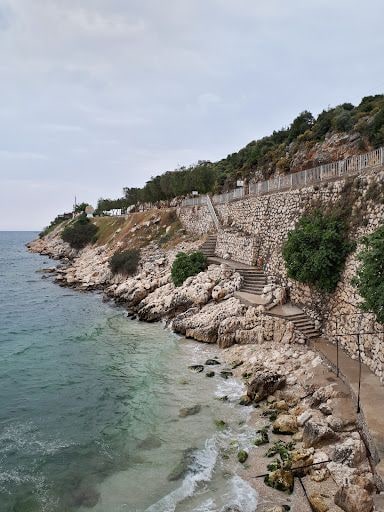 Yorum fotoğrafı 7