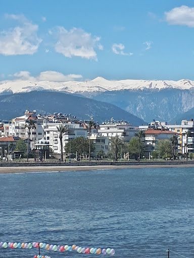 Yorum fotoğrafı 9