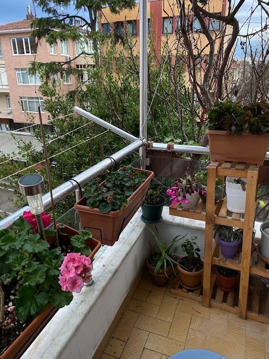 Fotoğraf 10