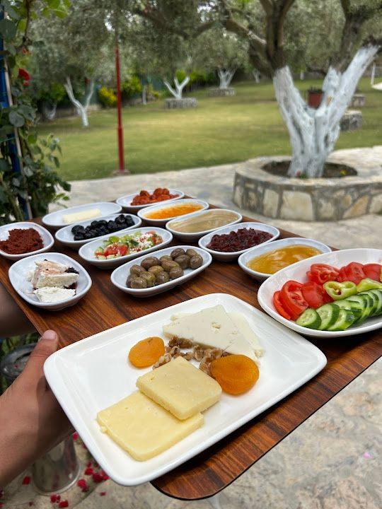 Fotoğraf 30