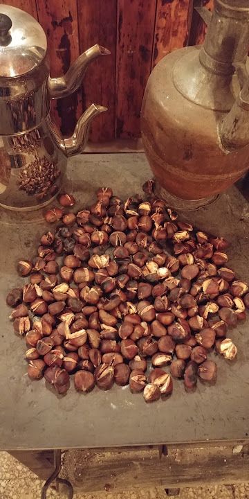 Fotoğraf 20
