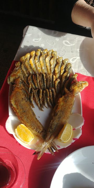 Fotoğraf 26