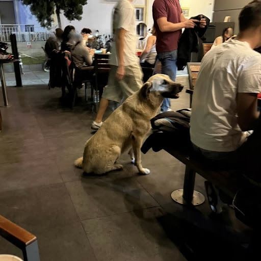 Fotoğraf 12