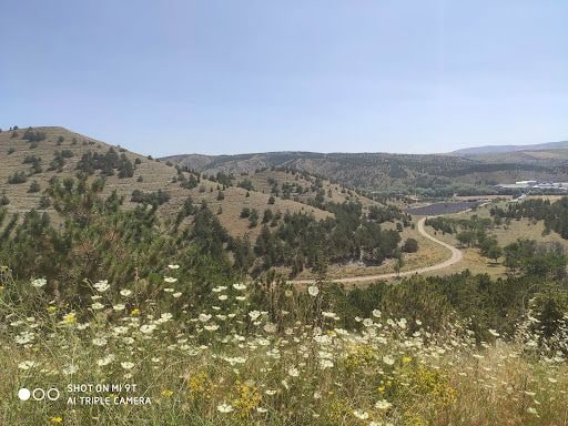Yorum fotoğrafı 8