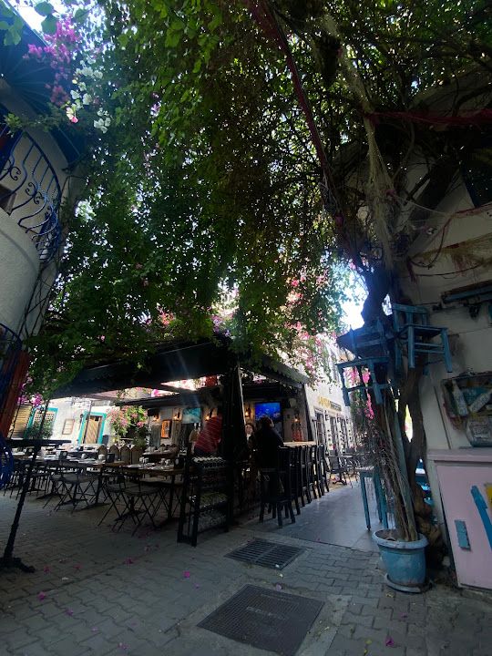 Fotoğraf 32