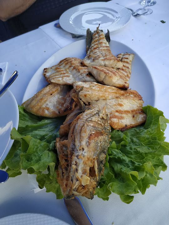 Fotoğraf 29