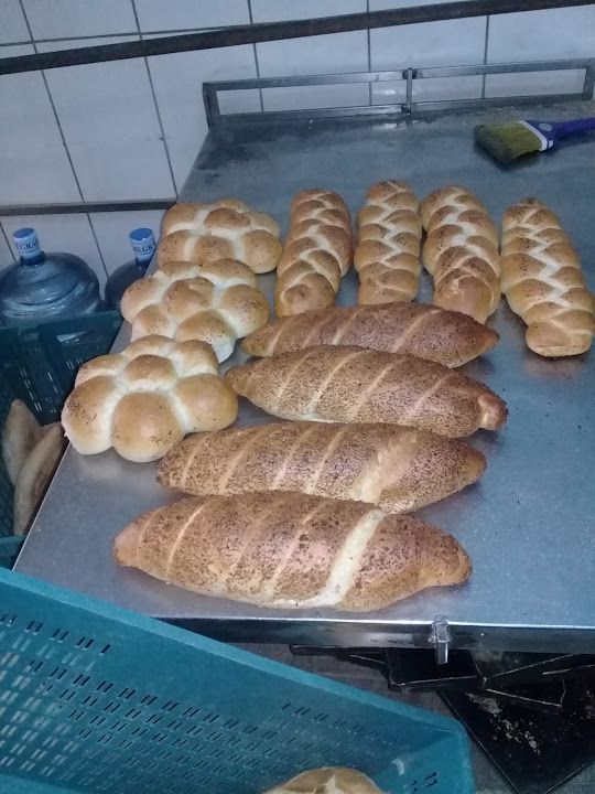 Fotoğraf 10