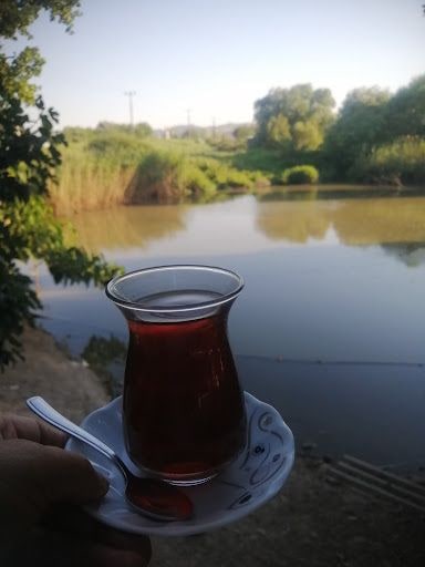 Fotoğraf 8