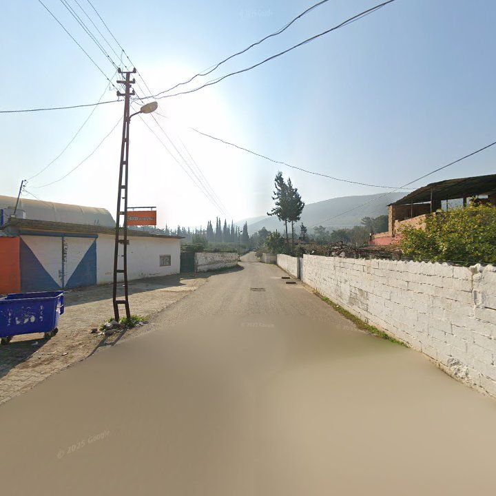 Fotoğraf 4