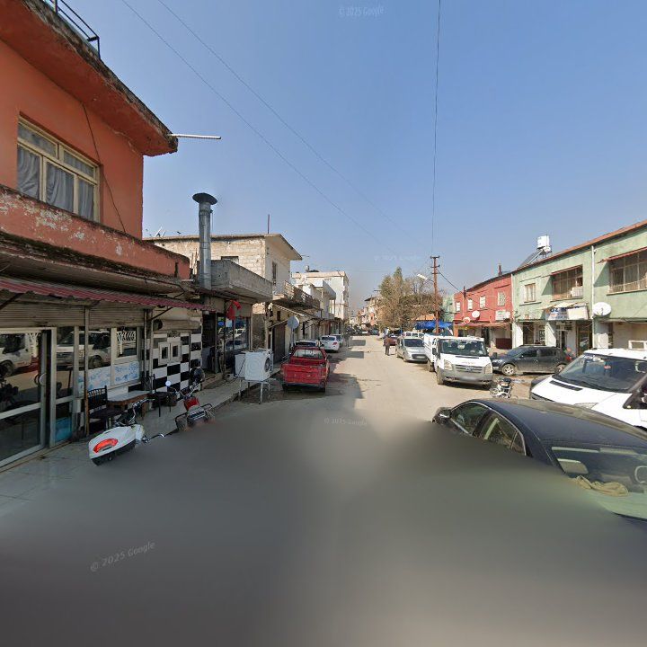 Fotoğraf 5