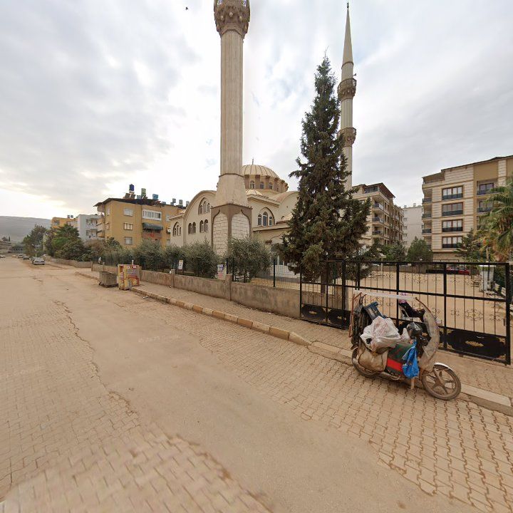 Fotoğraf 5