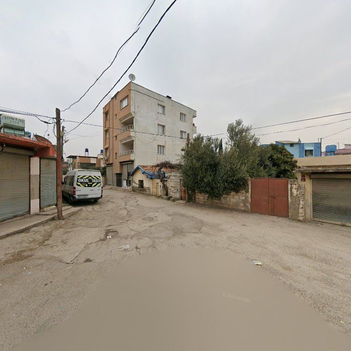 Fotoğraf 3